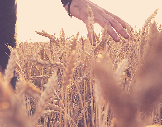 à solidão um remédio