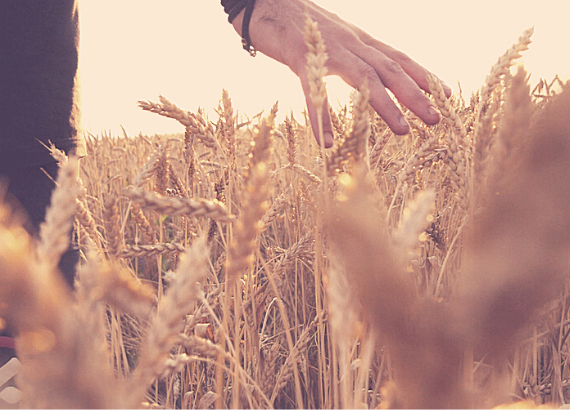 à solidão um remédio