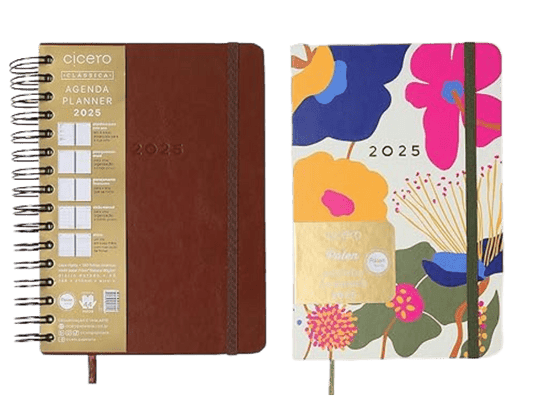 Agenda Planner Diário 2025 