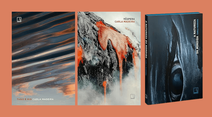 capas dos 3 livros de carla madeira publicados: livro tudo é rio, Véspera e a natureza da mordida