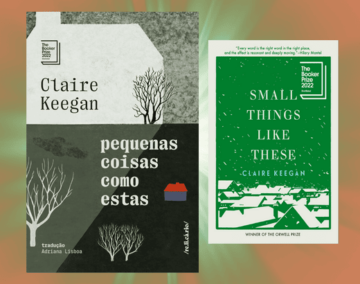 capa do livro pequenas coisas como esta