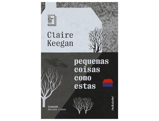 capa do livro pequenas coisas como estas
