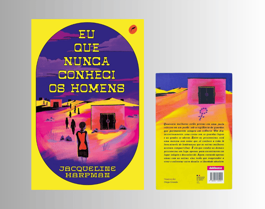 resenha livro eu que nunca conheci os homens