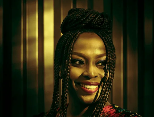 autora do Livro A Contagem dos Sonhos Adichie