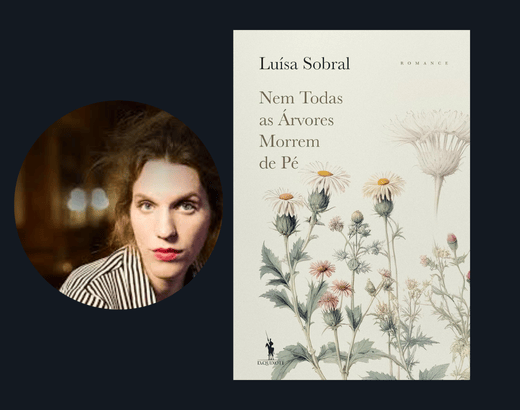 livro Nem Todas as Árvores Morrem de Pé (1)