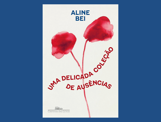 capa do livro Uma delicada coleção de ausências de Aline Bei (1)